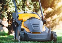 Man mows the lawn with a lawn mower. copy space